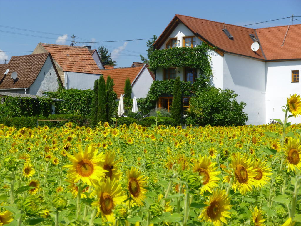 Landhotel Kallstadt Zewnętrze zdjęcie