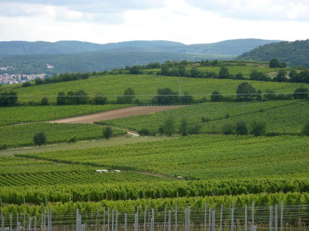 Landhotel Kallstadt Zewnętrze zdjęcie